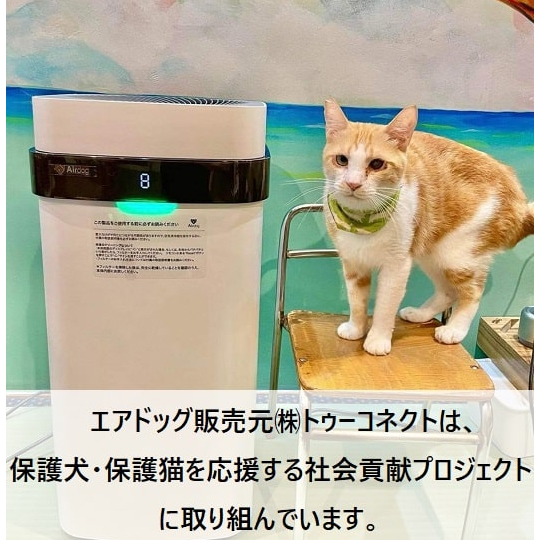 本体(ホワイト)、トッププレート(ホワイト)