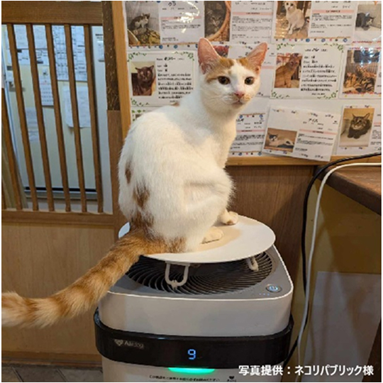 本体(ホワイト)、トッププレート(ホワイト)