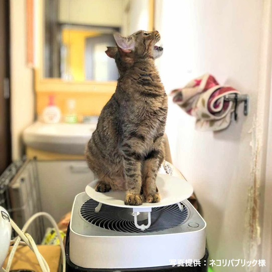 本体(ホワイト)、トッププレート(ホワイト)