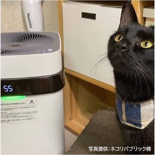 マットブラック