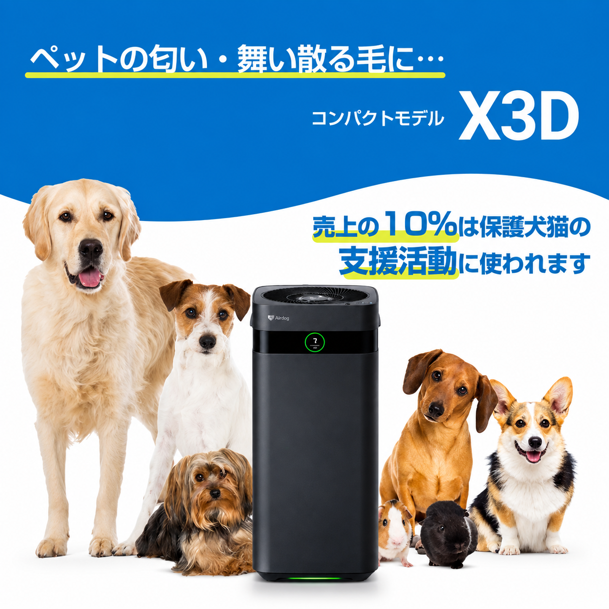 ●【保護犬猫施設応援プロジェクト（日本聴導犬協会）】Airdog X3D｜マットブラック